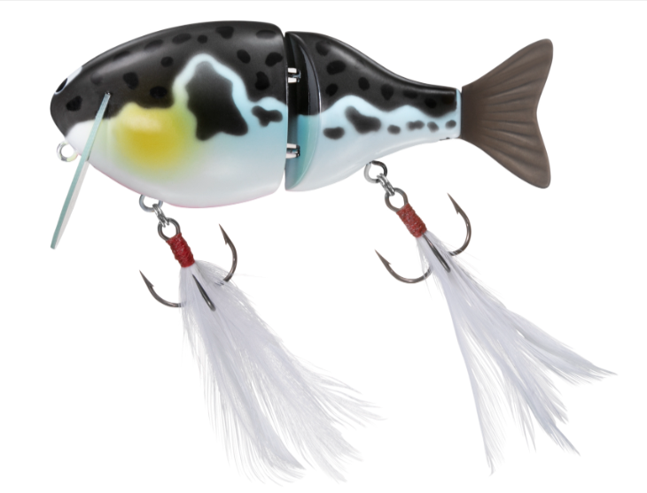 ふく魚／ちびふく魚-ルアー-｜DAIWA-09-16-2025_05_05_PM