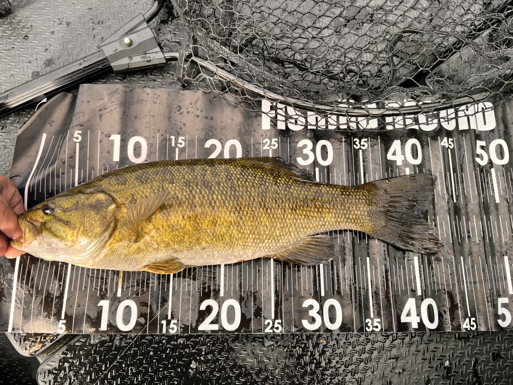 釣果写真5