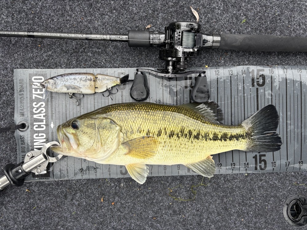 釣果写真2