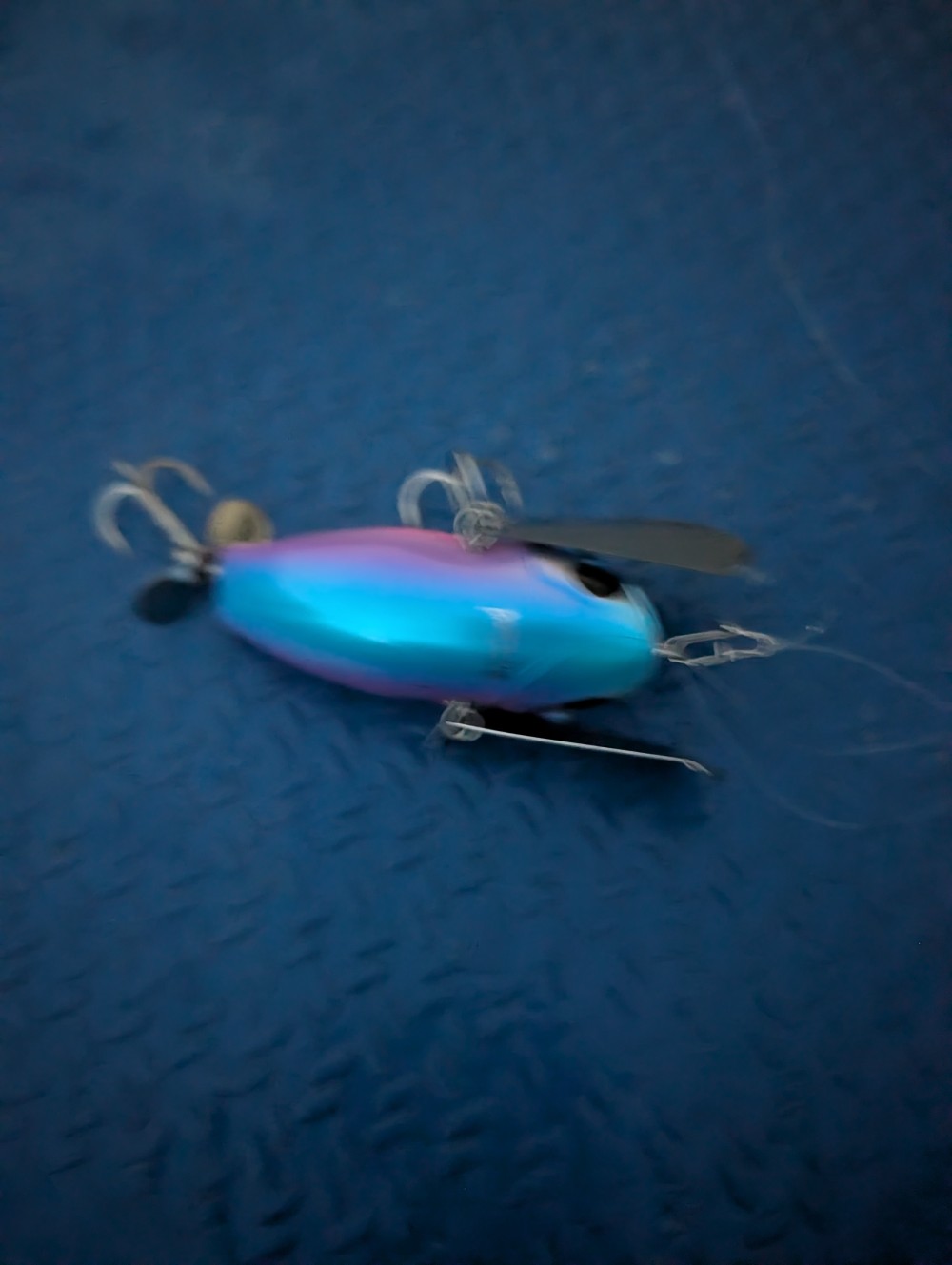 釣果写真3