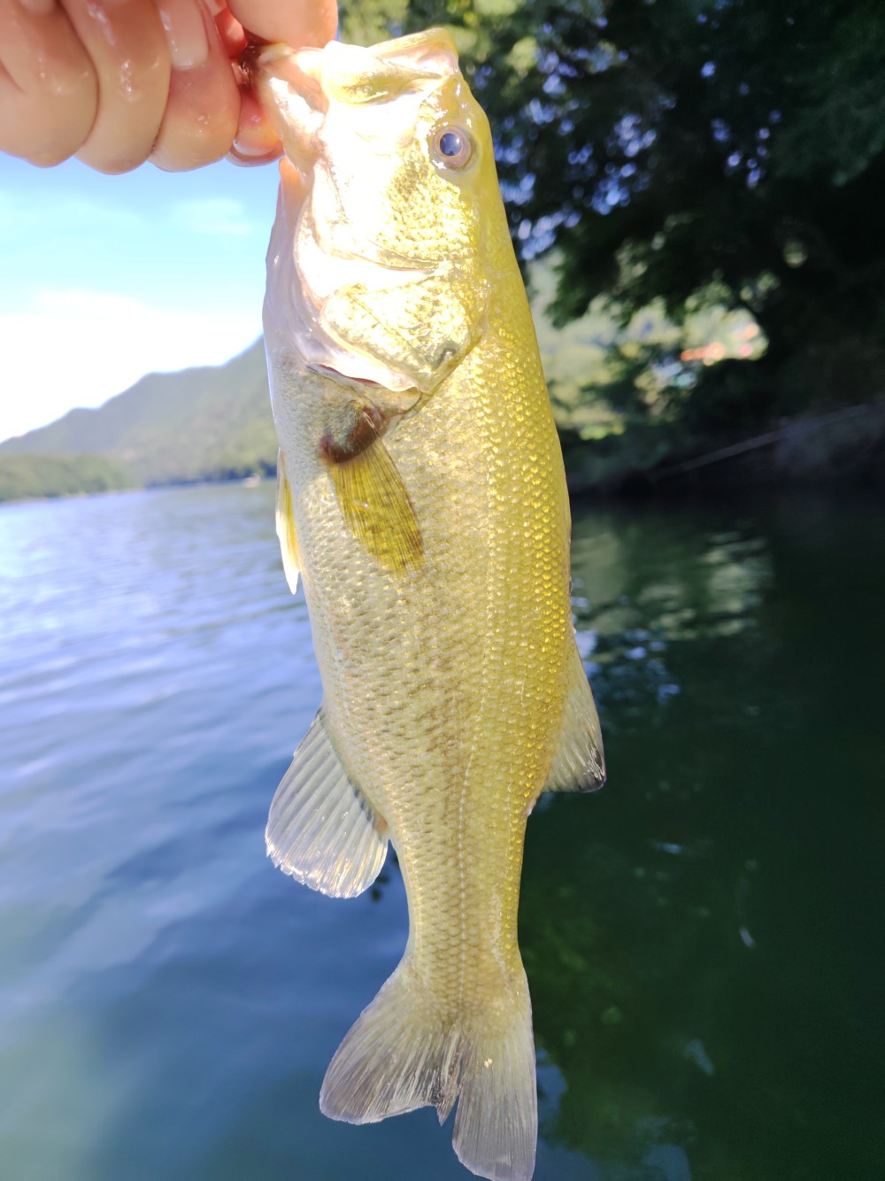 釣果写真1