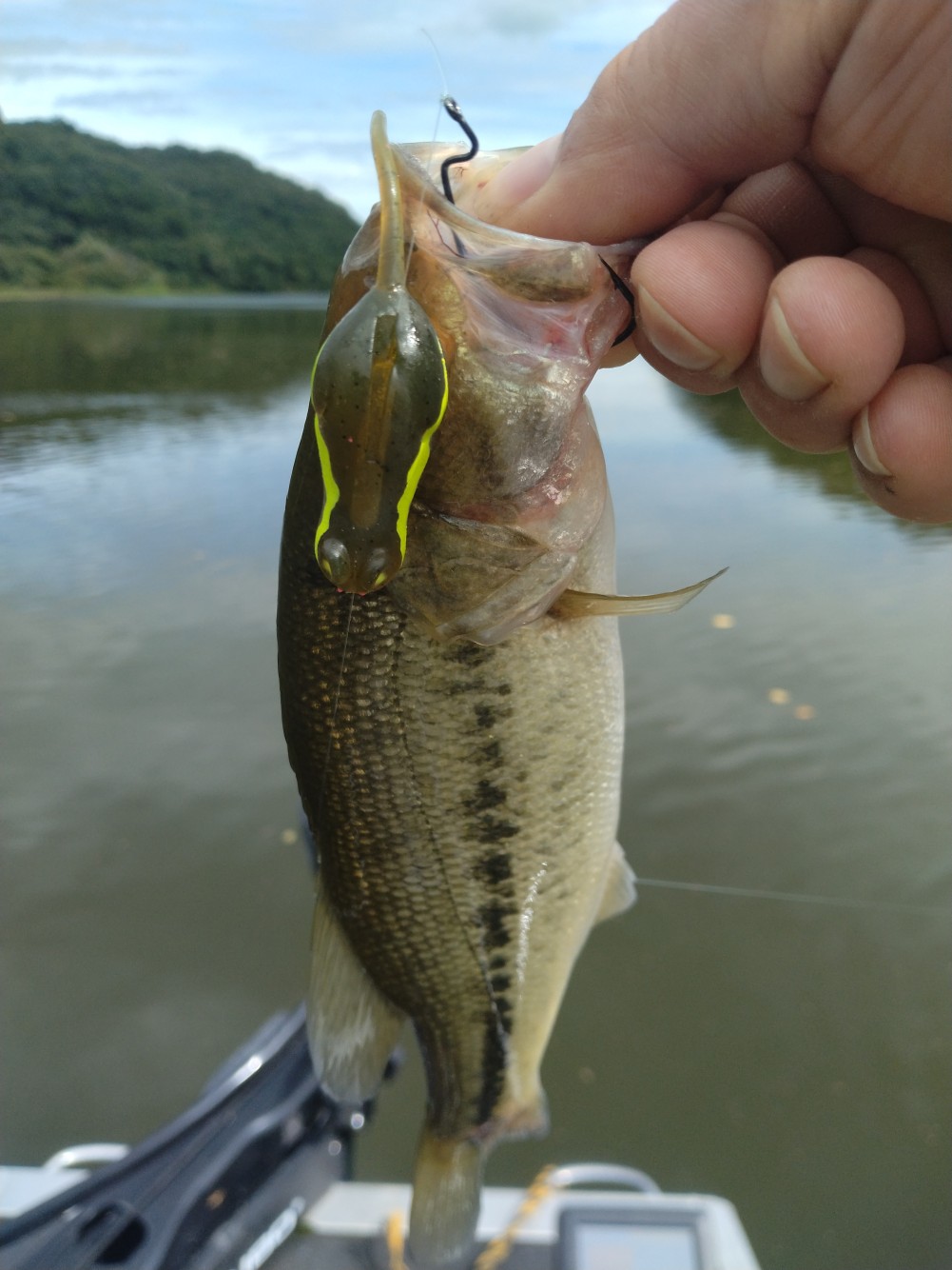 釣果写真1