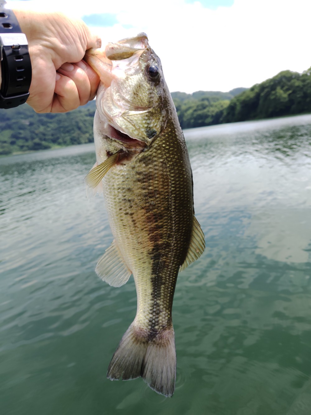 釣果写真2