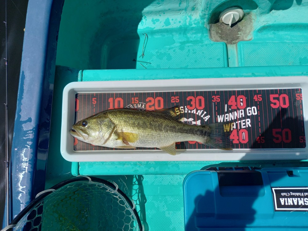 釣果写真2