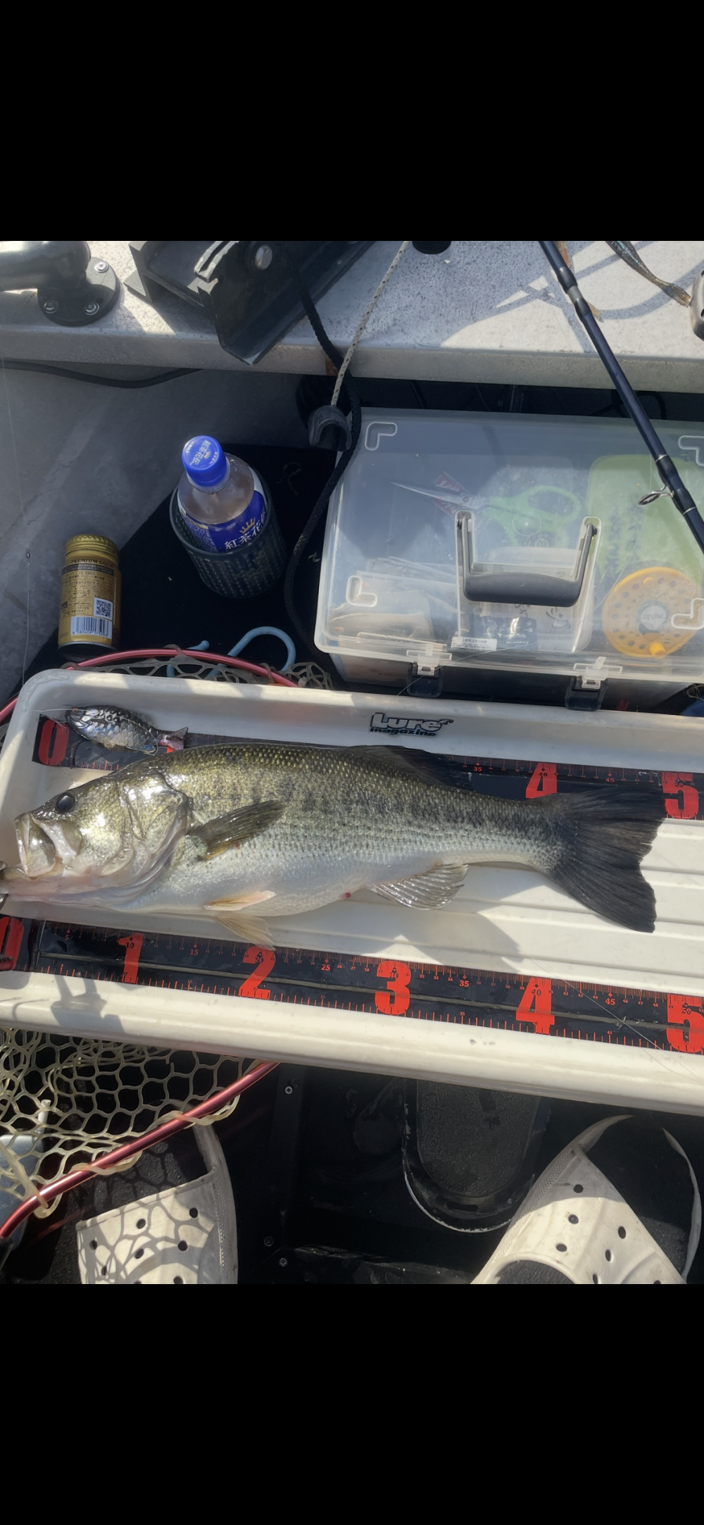 釣果写真2