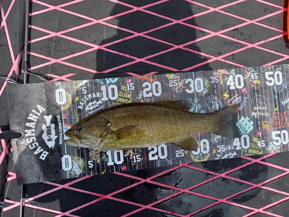 釣果写真2