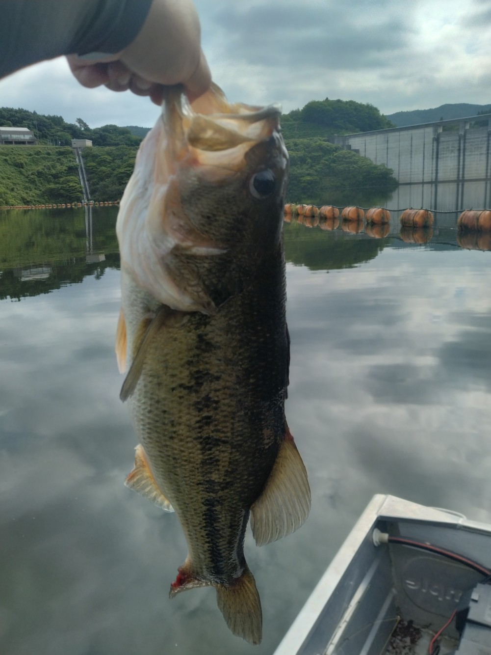釣果写真2