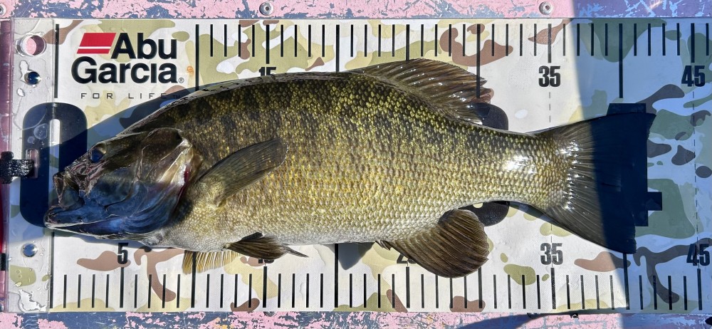釣果写真2