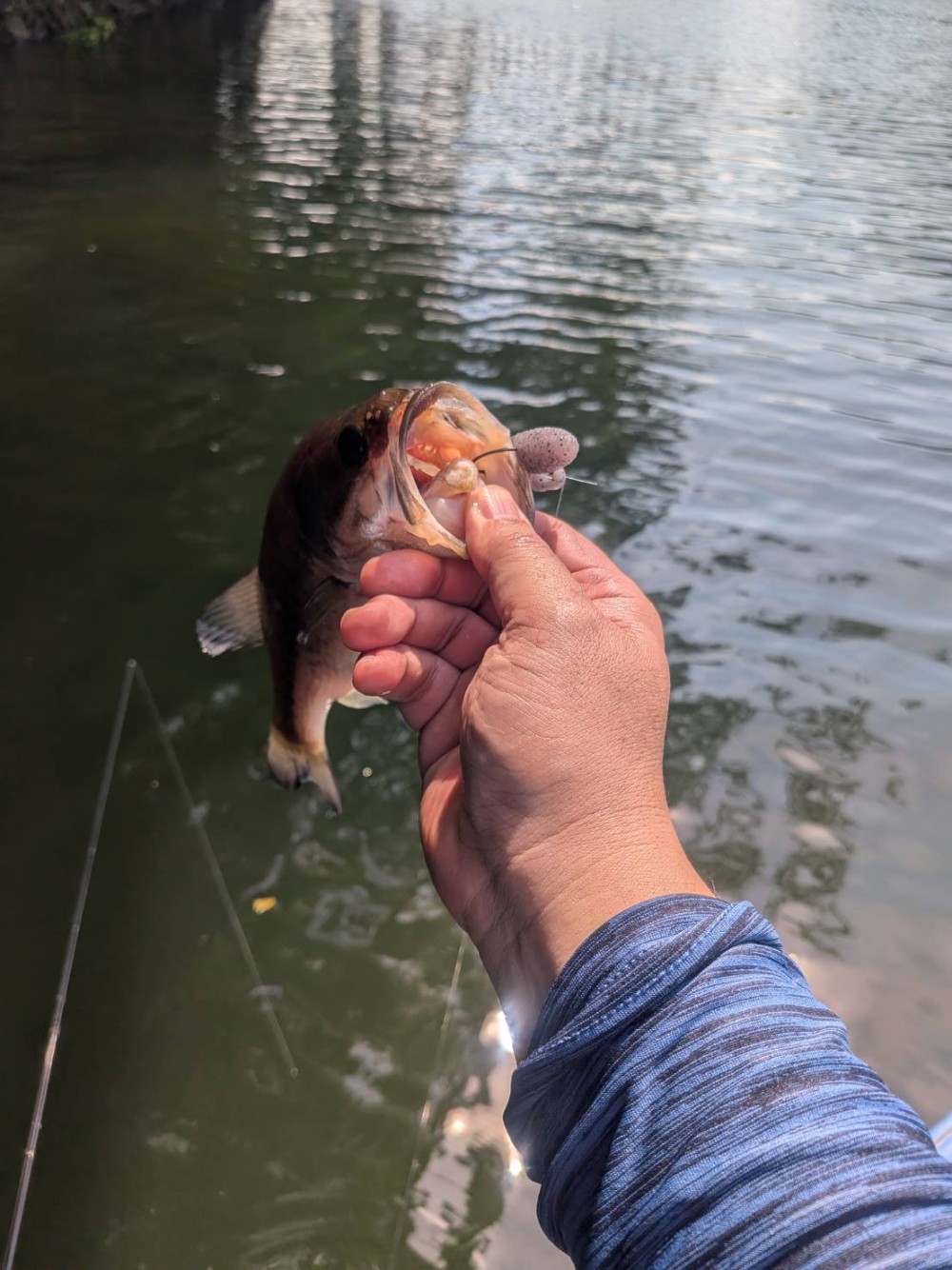 釣果写真1