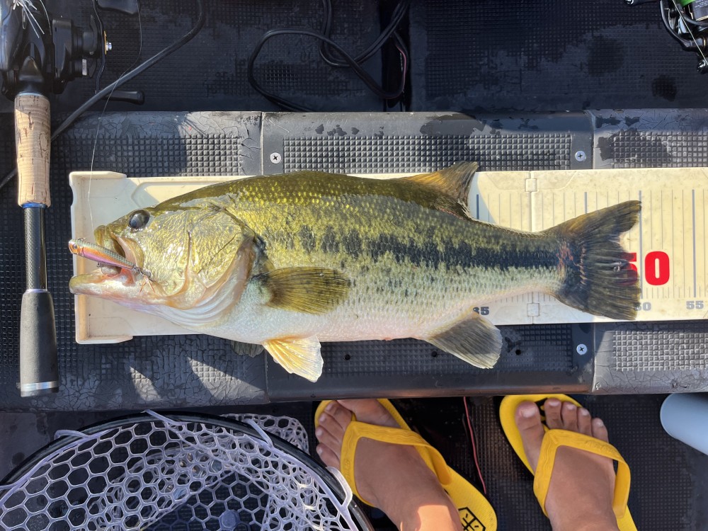 釣果写真1