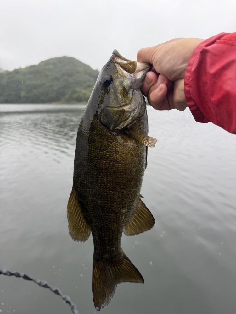 釣果写真3