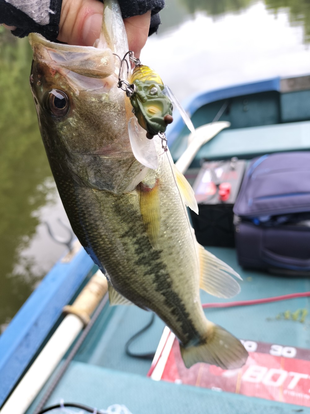 釣果写真3