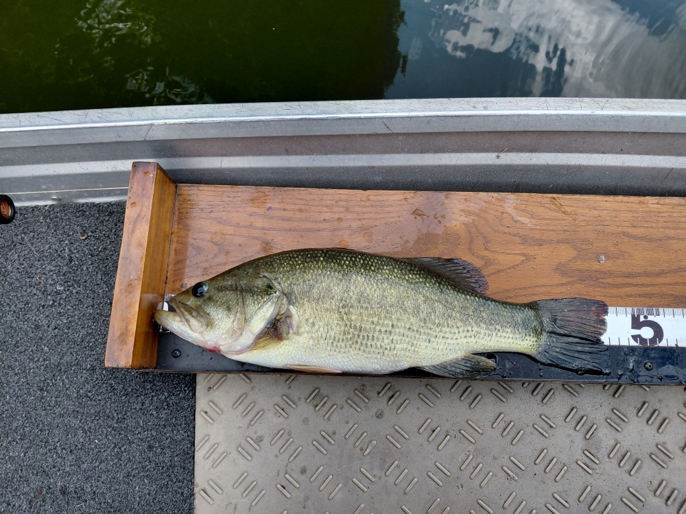 釣果写真2