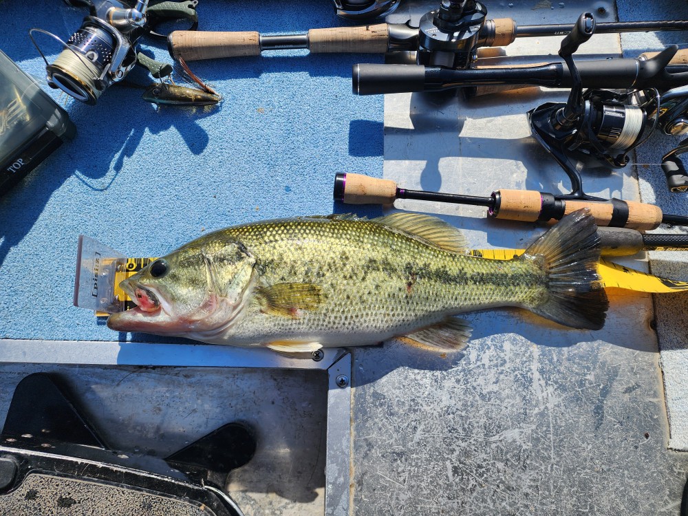 釣果写真2