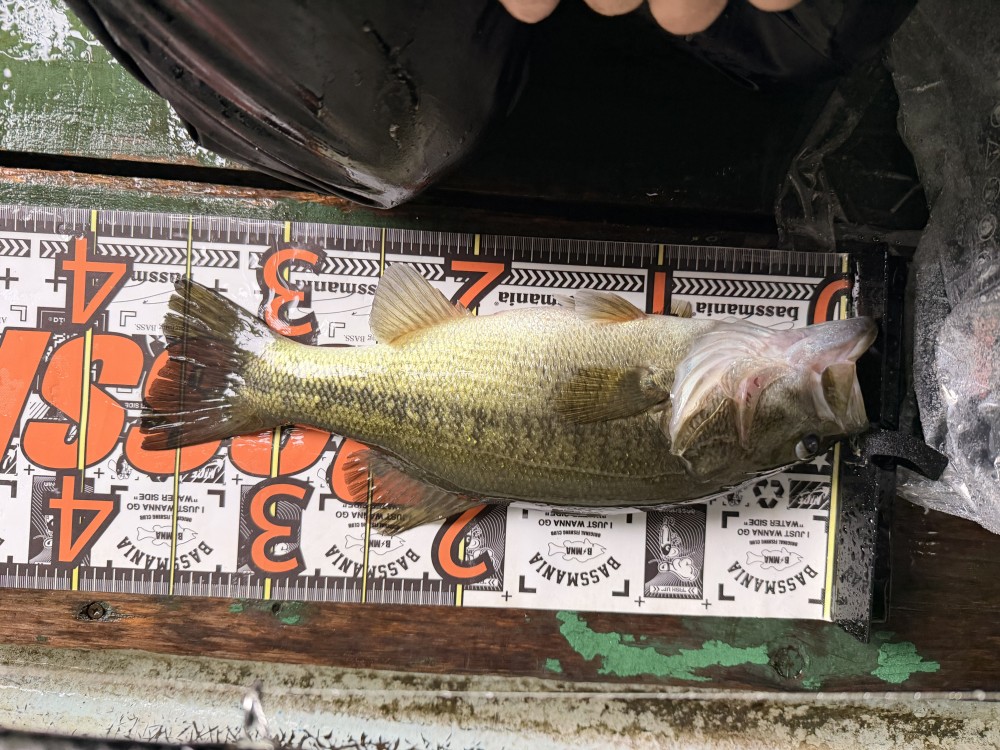 釣果写真4