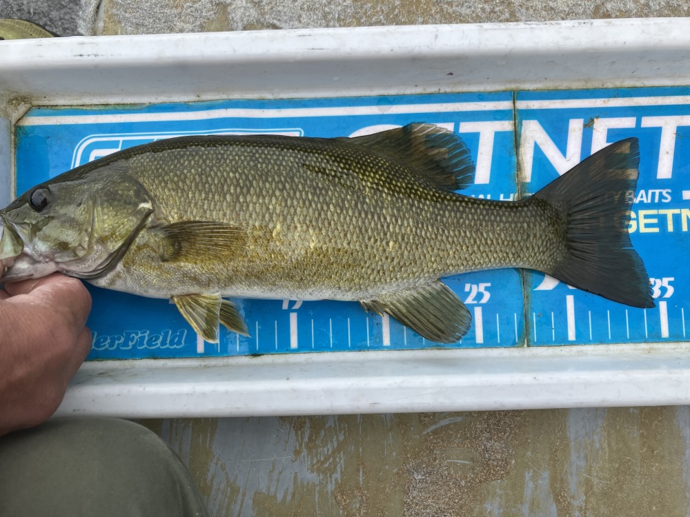 釣果写真2