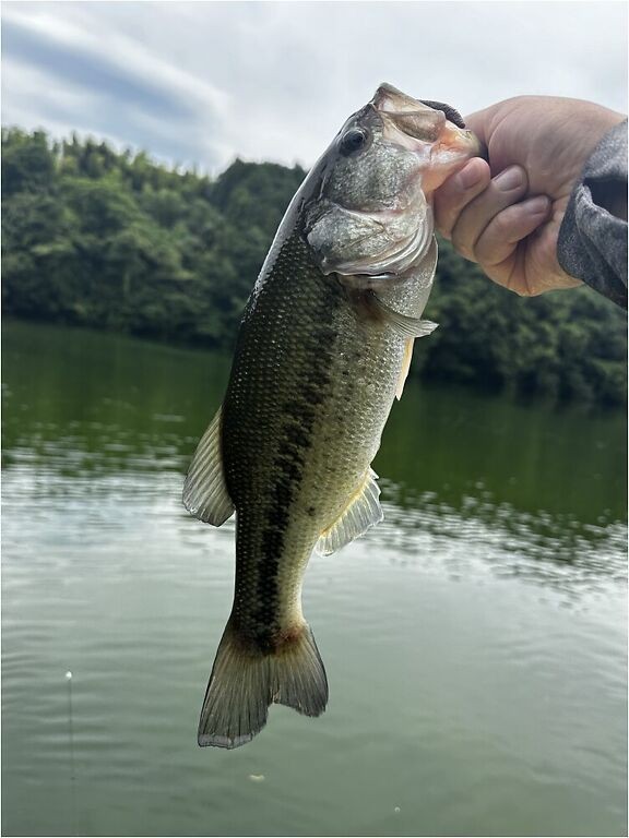 釣果写真2