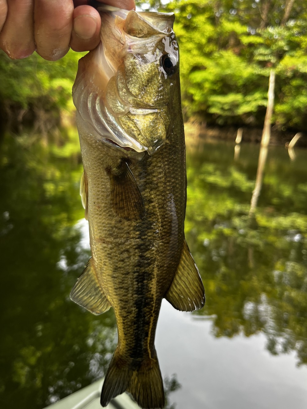 釣果写真1