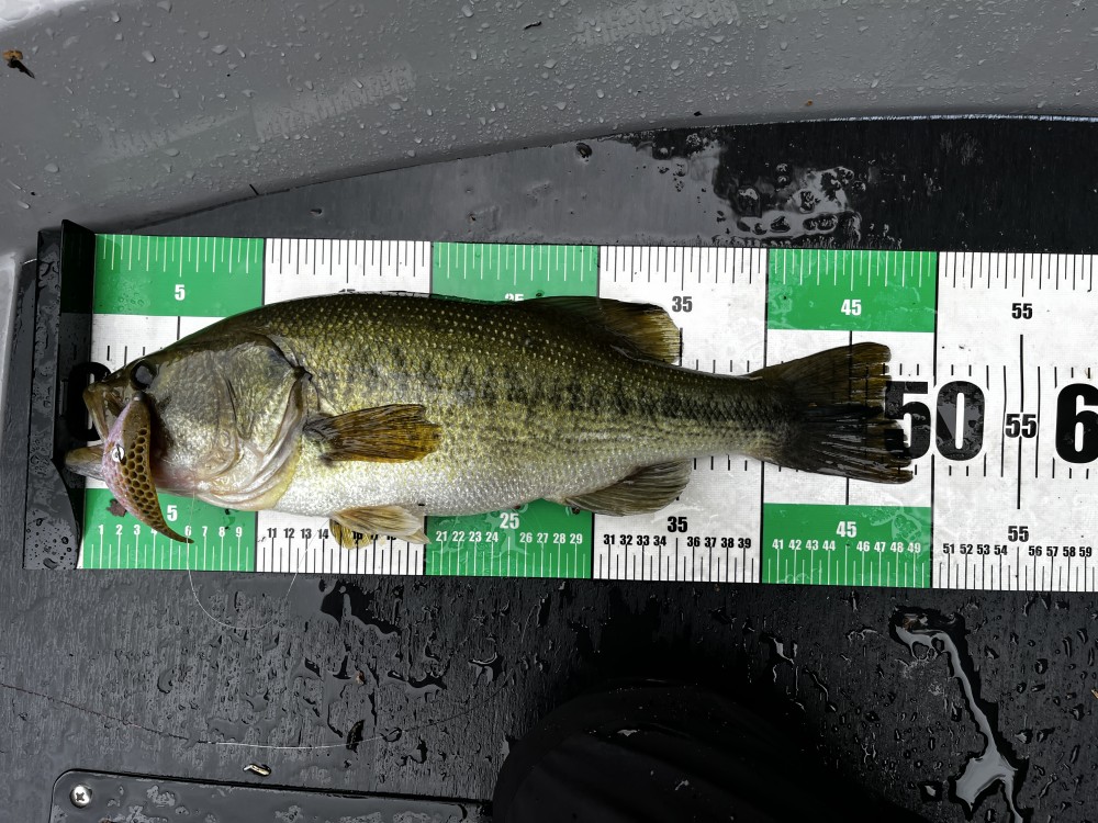 釣果写真2