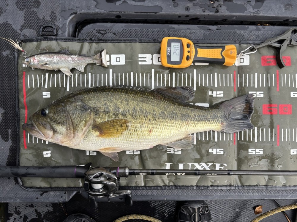 釣果写真2