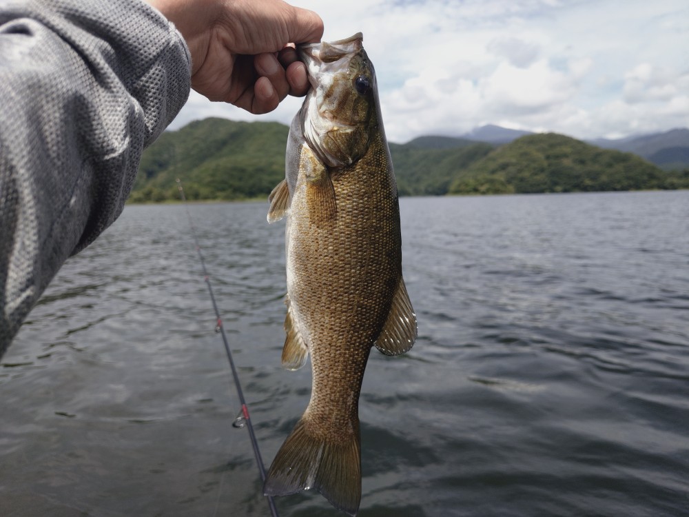釣果写真2