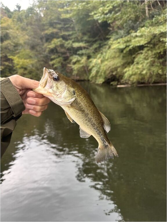 釣果写真4