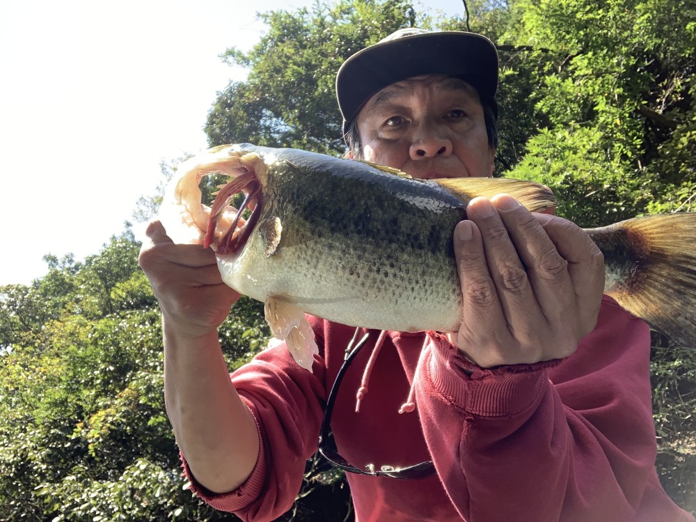 釣果写真1
