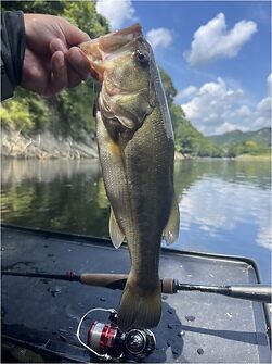 釣果写真2