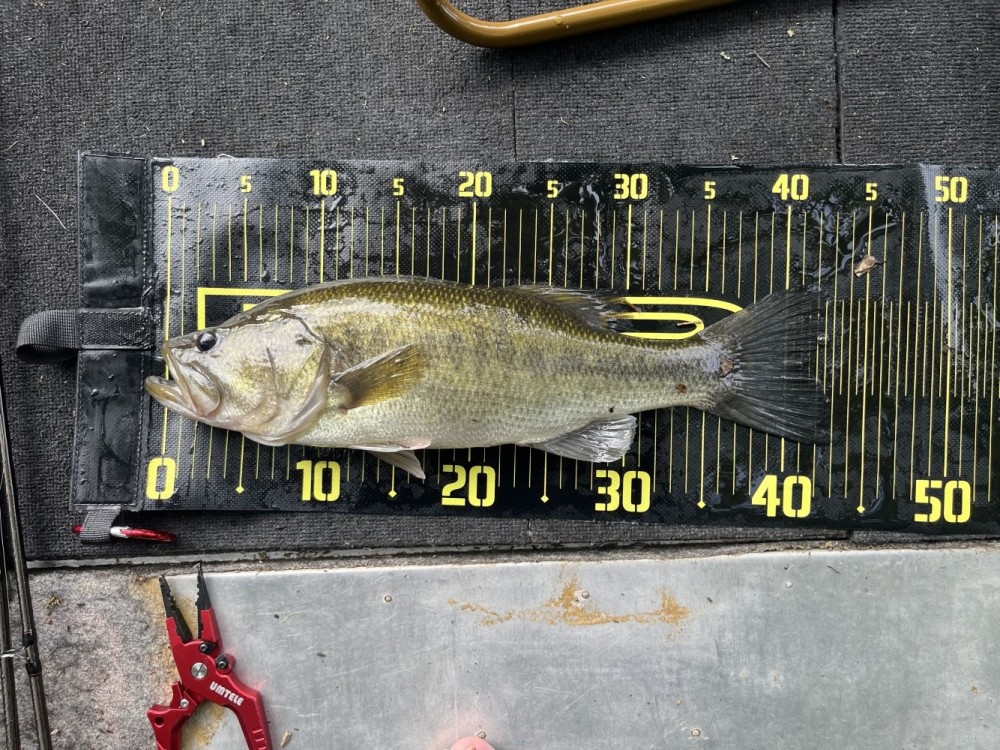 釣果写真1