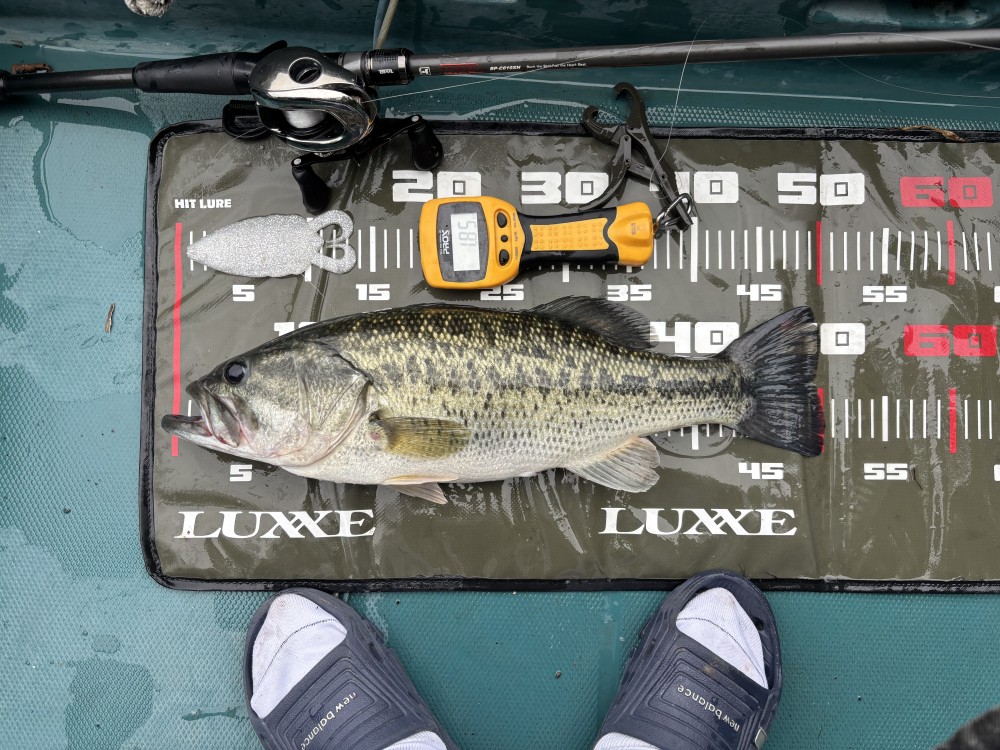 釣果写真4