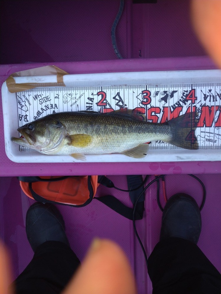 釣果写真4