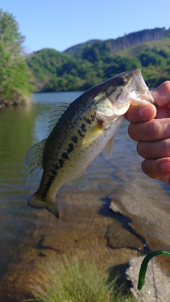 釣果写真1