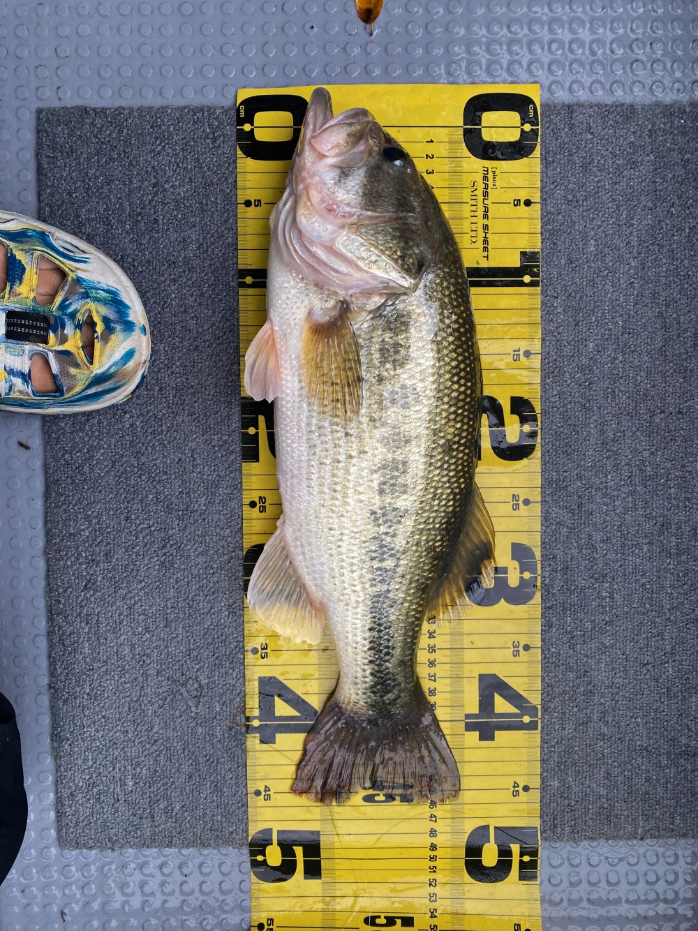 釣果写真2
