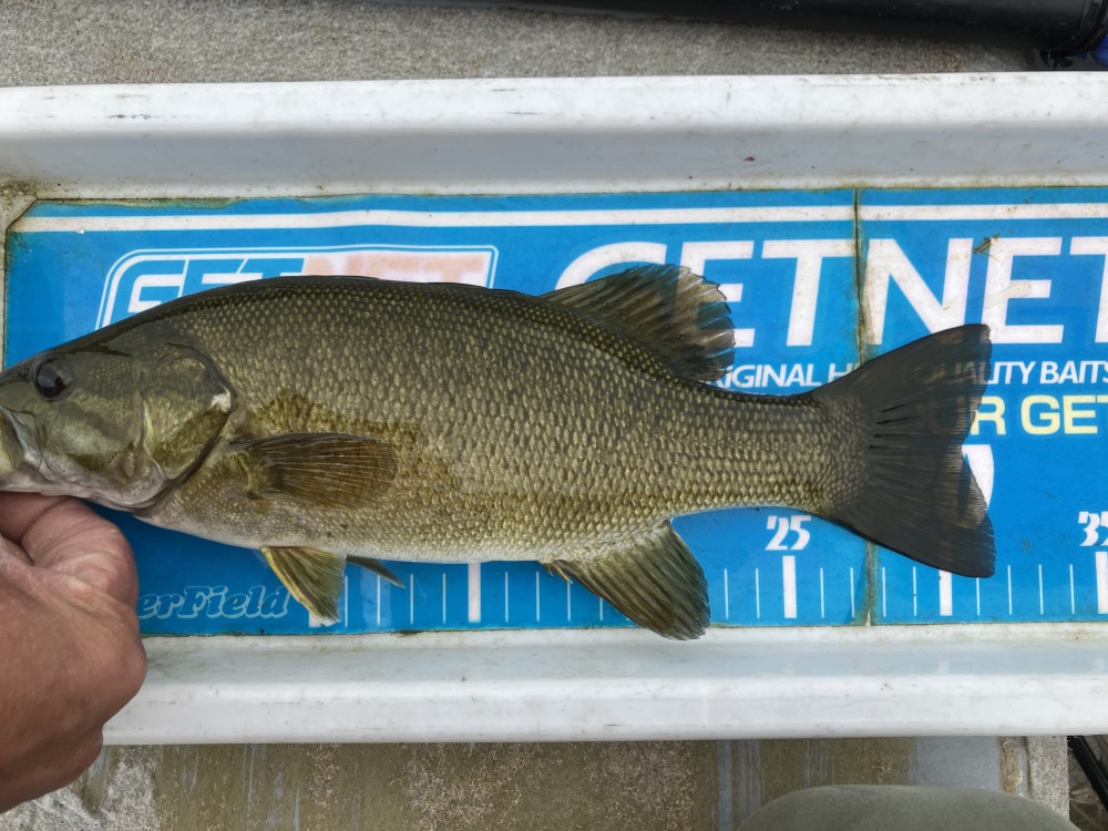 釣果写真3