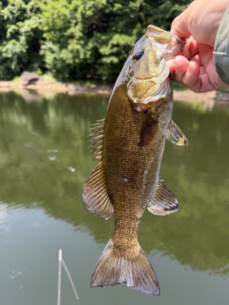 釣果写真2
