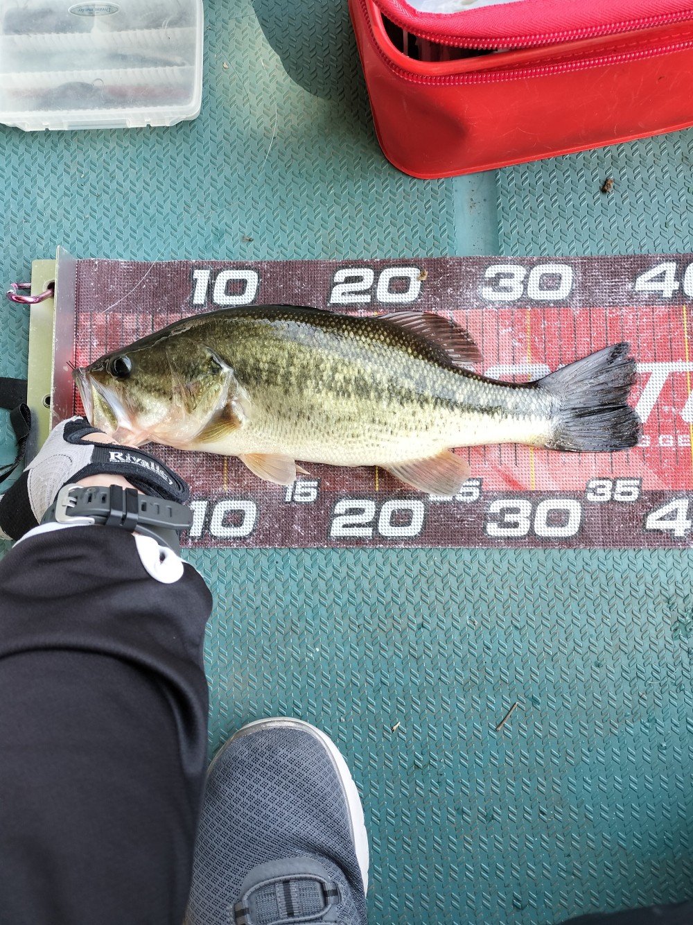 釣果写真2