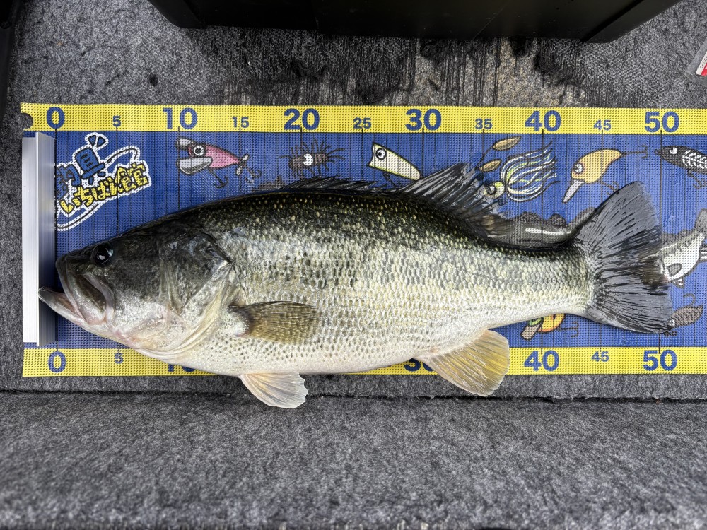 釣果写真1
