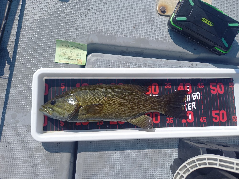 釣果写真2