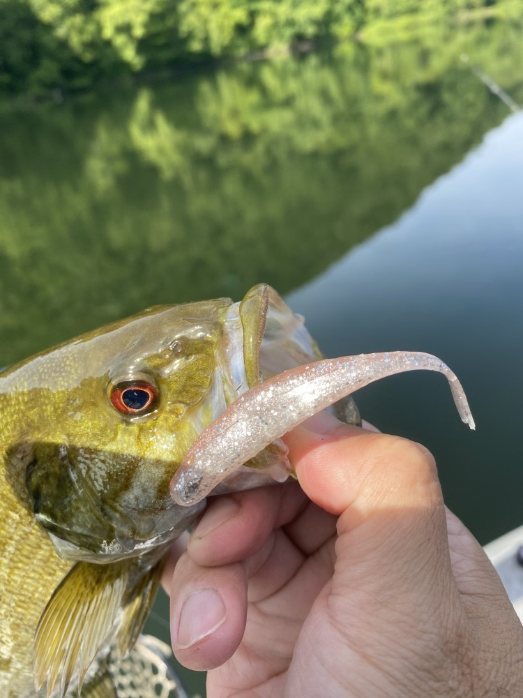 釣果写真2