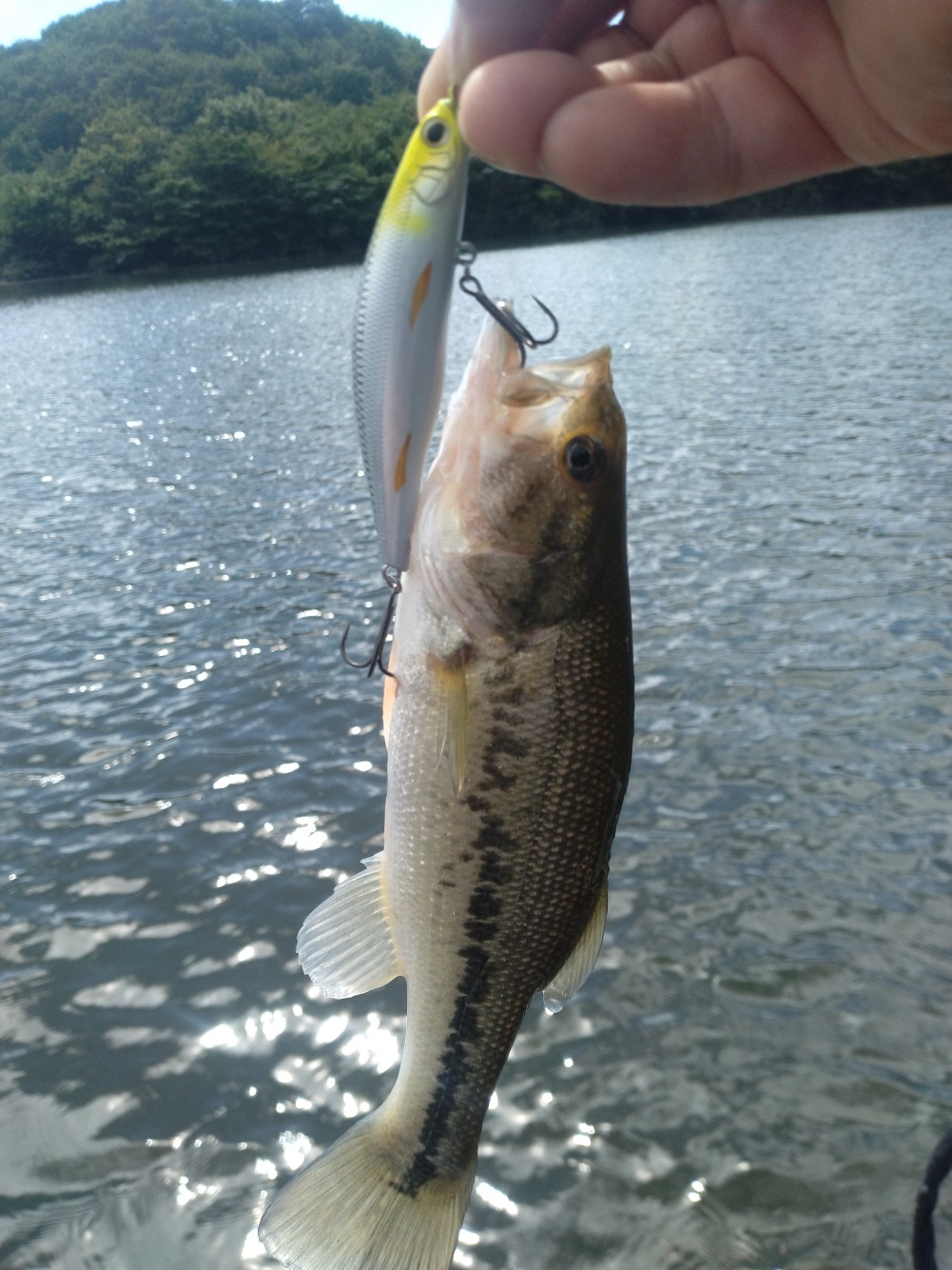 釣果写真4