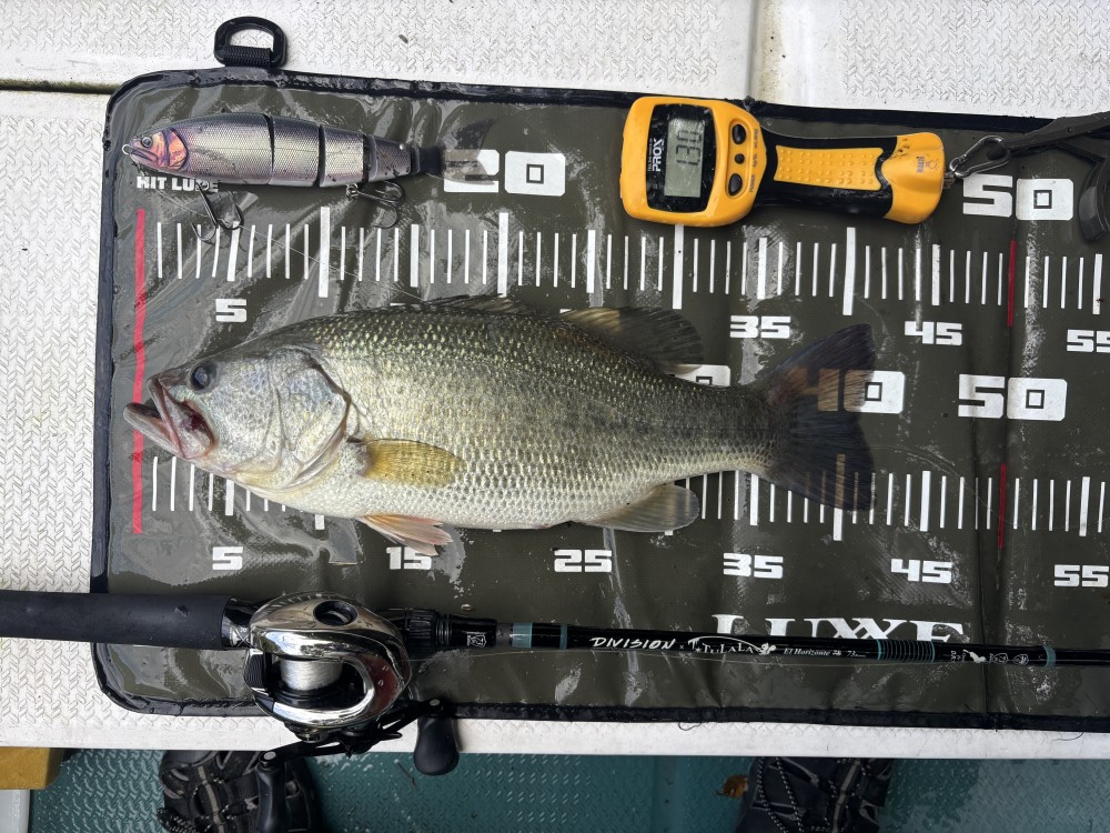 釣果写真2