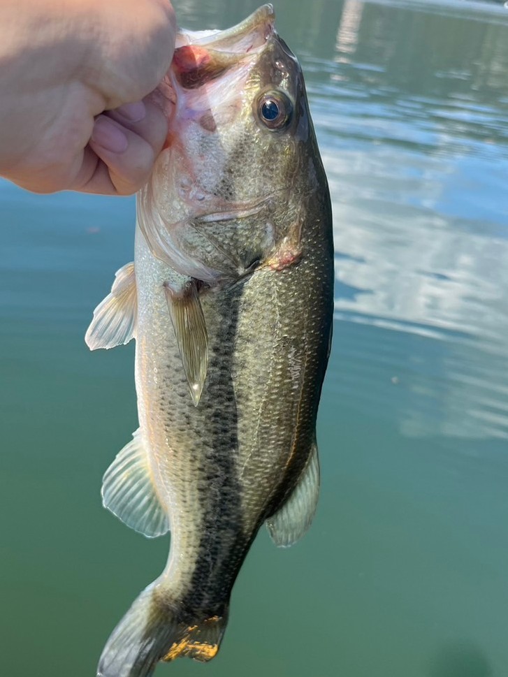 釣果写真2