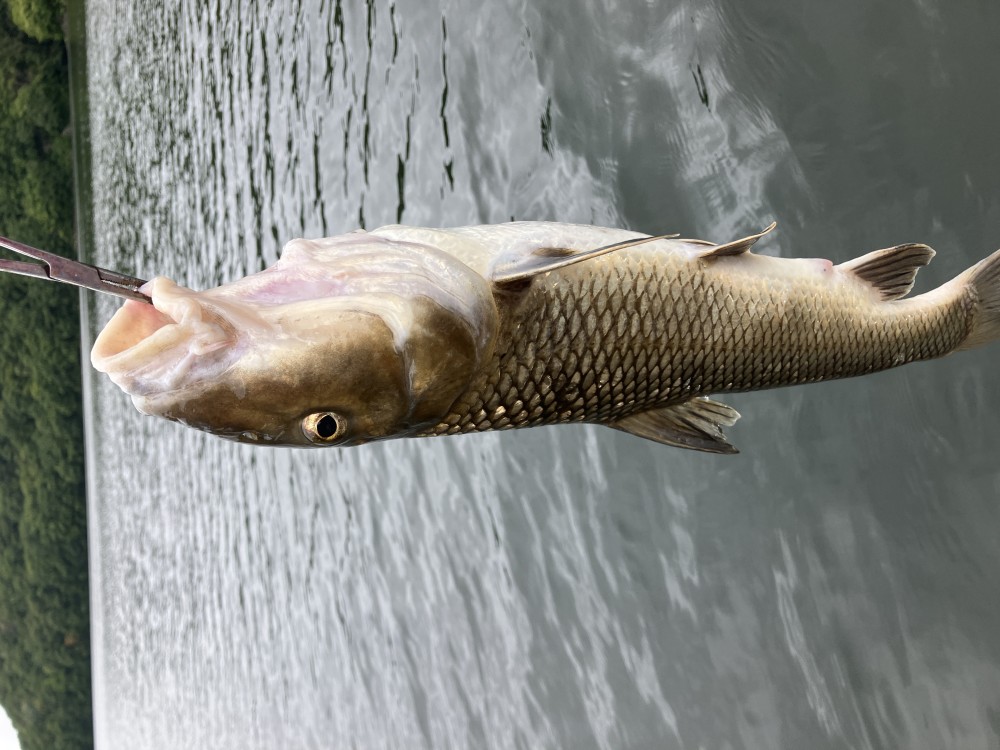 釣果写真6