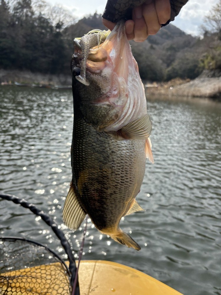 釣果写真1