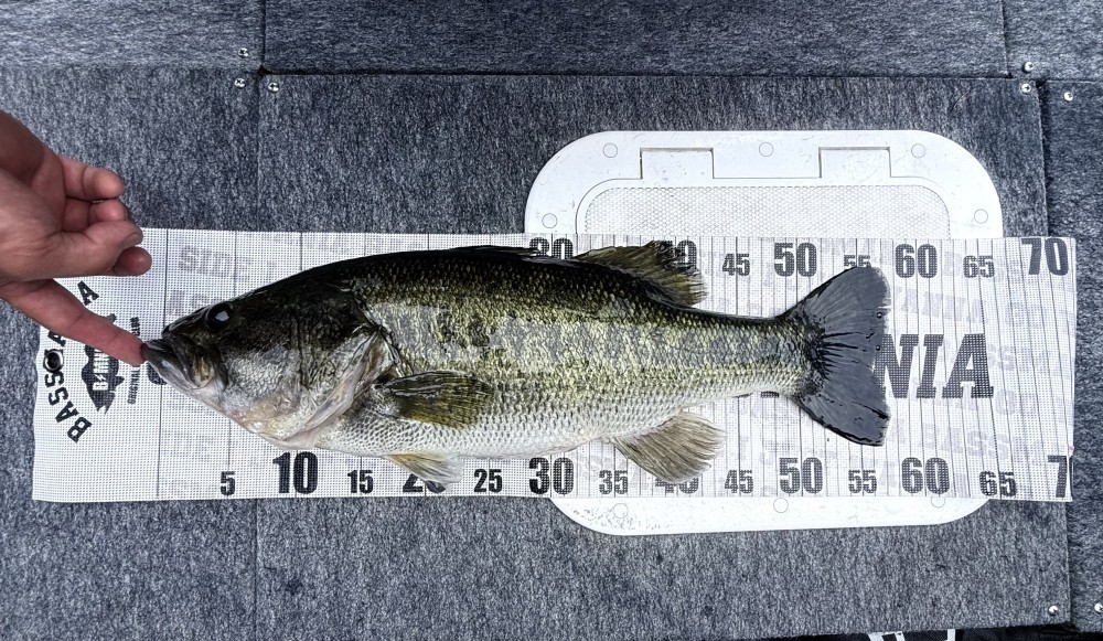 釣果写真2