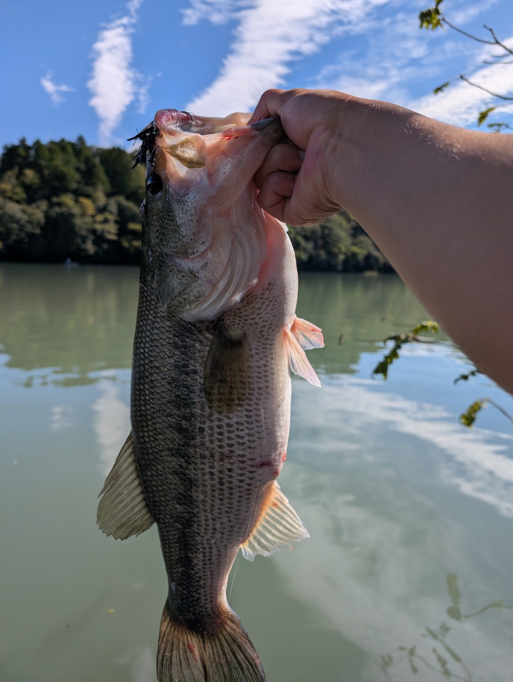 釣果写真2
