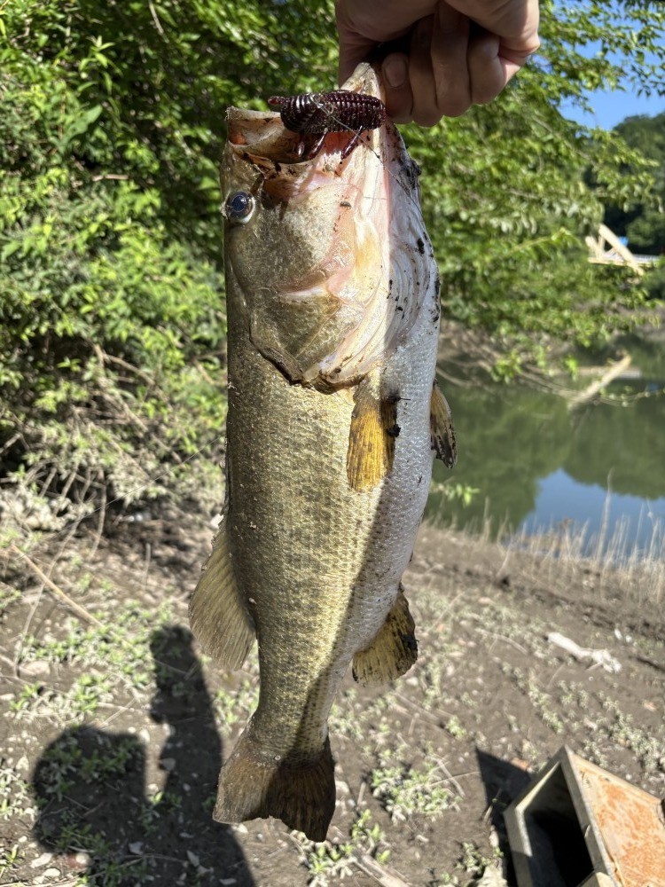 釣果写真2