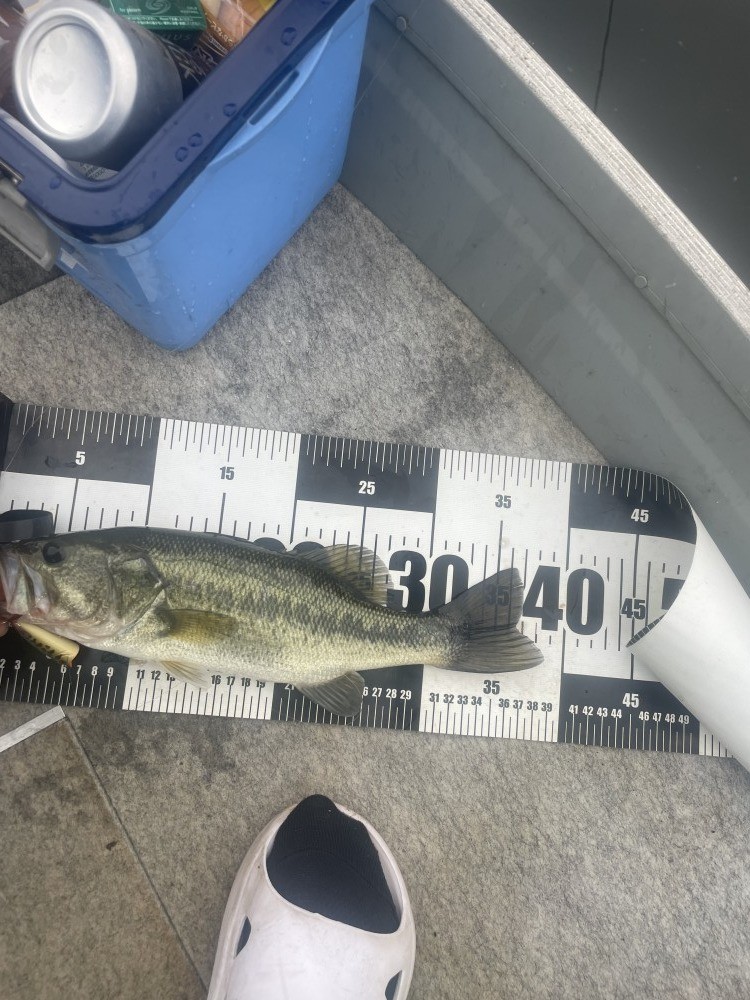 釣果写真2