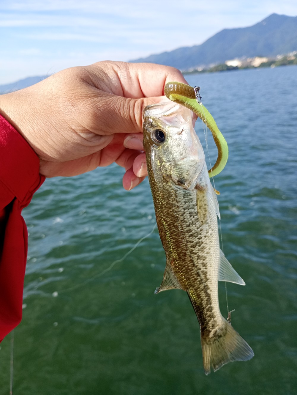釣果写真3