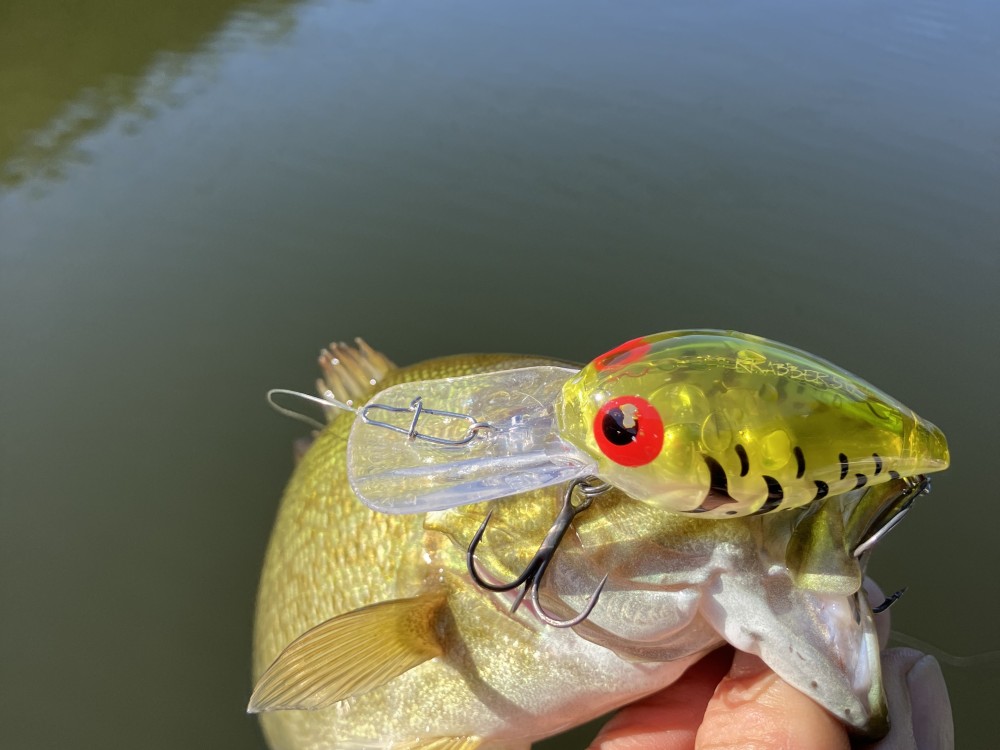 釣果写真2